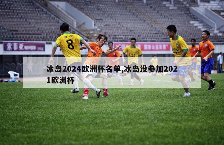 冰岛2024欧洲杯名单,冰岛没参加2021欧洲杯