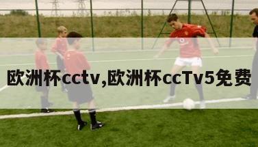 欧洲杯cctv,欧洲杯ccTv5免费