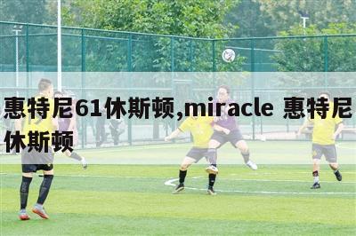 惠特尼61休斯顿,miracle 惠特尼休斯顿